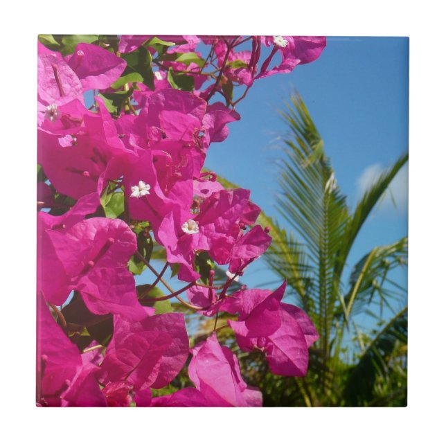 Bougainvillea und Palmen Tropische Natur Fliese (Vorderseite)