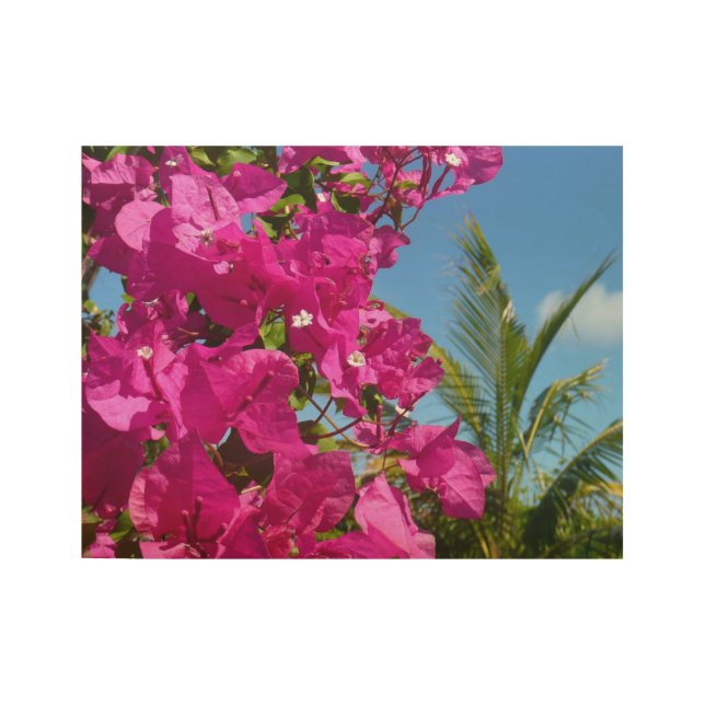 Bougainvillea und Palmen Tropische Natur Holzposter (Vorderseite)