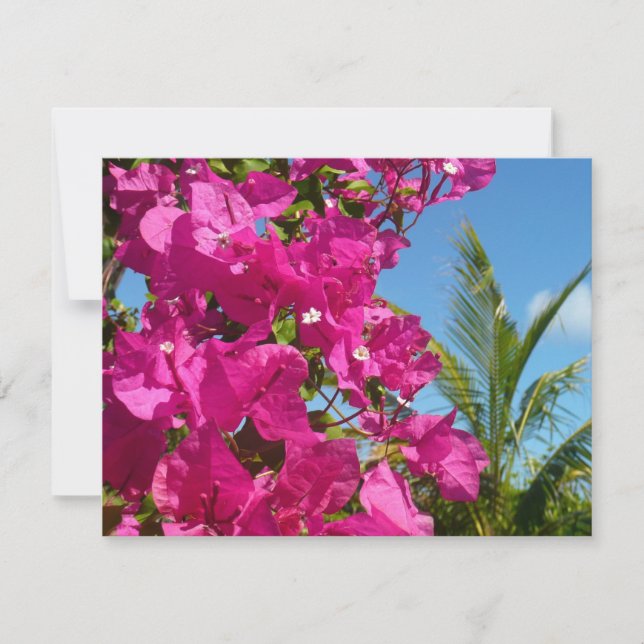 Bougainvillea und Palmen Tropische Natur Karte (Vorderseite)