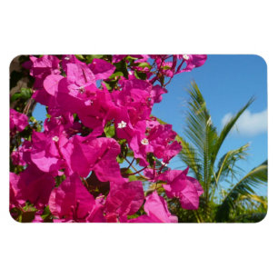 Bougainvillea und Palmen Tropische Natur Magnet