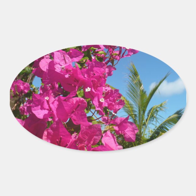 Bougainvillea und Palmen Tropische Natur Ovaler Aufkleber (Vorderseite)