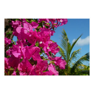 Bougainvillea und Palmen Tropische Natur Poster