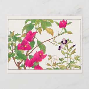 Bougainvillea, Wishbone-Blume von Tanigami Konan Postkarte