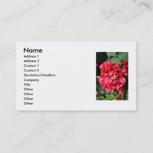 Bouganvilla-Blumen-Geschäfts-Karte Visitenkarte