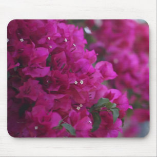 Bouganvilla mousepad