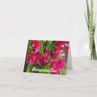 Bouganvilla Notecards