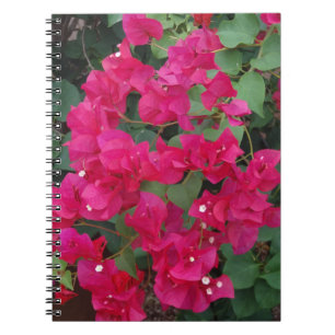 Bouganvilla Notizblock