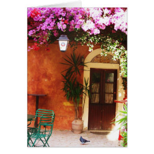 Bouganvilla wachsend außerhalb eines Hauses,