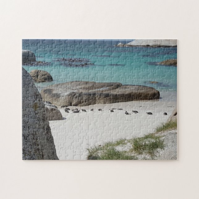 Boulder Beach Kapstadt Puzzle (Horizontal)