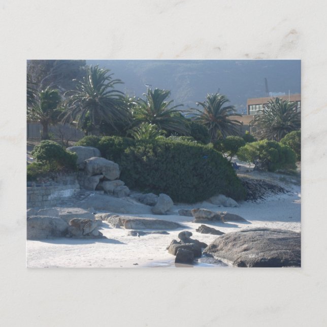 Boulders Beach - Kapstadt Postkarte (Vorderseite)