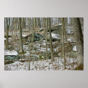 Boulders in Winterwaldplakat Poster