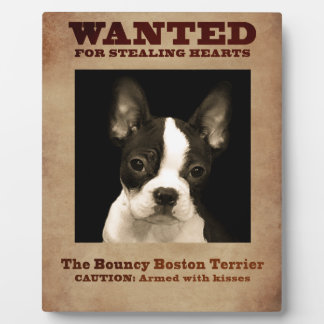 Bouncy Boston Terrier Fotoplatte