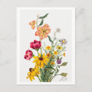 Bouquet der Blume Botanische Illustration Postkarte