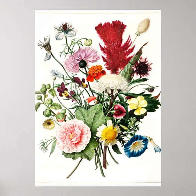 Bouquet der Blume Vintage Illustration Poster (Vorne)