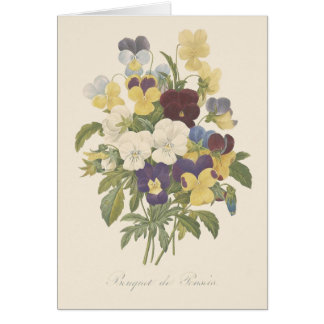 Bouquet Pansy Stiefmütterchen Blume Illustration