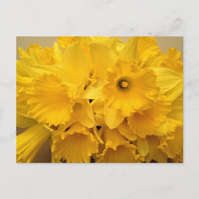 Bouquet von Affodils Postkarte (Vorderseite)