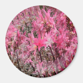 Bouquet von Amaryllis...... Magnet