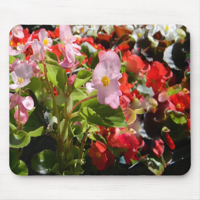 Bouquet von Begonias... Mousepad (Vorne)