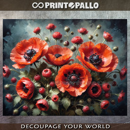 Bouquet von Pappi-Blume vor dunklem Hintergrund Seidenpapier