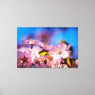 Bouquet von Sakura-Blume Leinwanddruck