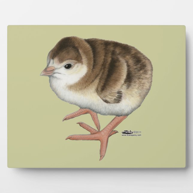 Bourbon Red Turkey Poult Fotoplatte (Vorderseite)