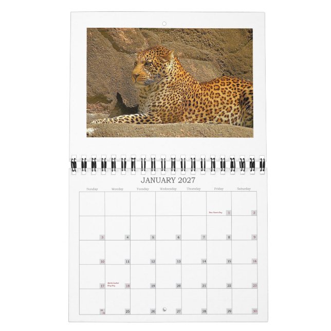 Bourretti, NORPHLET, LEOPARDS Kalender (Jan 2027)