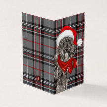 Bouvier Christmas Dog mit Holiday Kariert