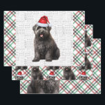 Bouvier Christmas Dog Rot und Grün Kariert Geschenkpapier Set<br><div class="desc">Ein bezaubernder Bouvier des Flandres Hund ist mit seiner Weihnachtsmannmütze für die Urlaubssaison bereit. Dieser niedliche Weihnachtshund ist mit einem roten und grünen Urlaub gepaart,  kariert auf diesem Set der Geschenkpackung für den Hundefreund.</div>