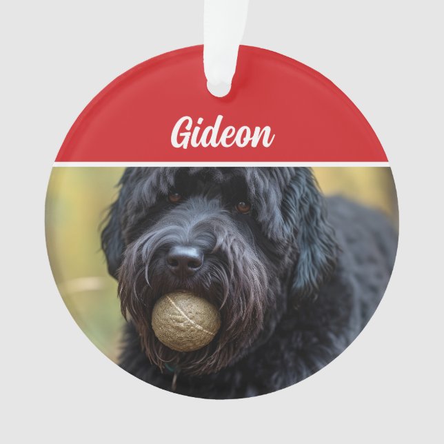 Bouvier des Flandres Dog Holiday Foto Weihnachten Ornament (Vorderseite)