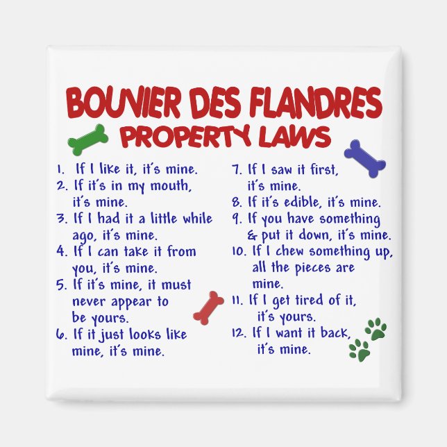 BOUVIER DES FLANDRES-Eigenschaftengesetze 2 Magnet (Vorne)