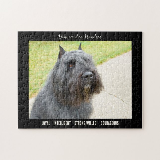 Bouvier des Flandres Foto Dog Breed Puzzle (Horizontal)