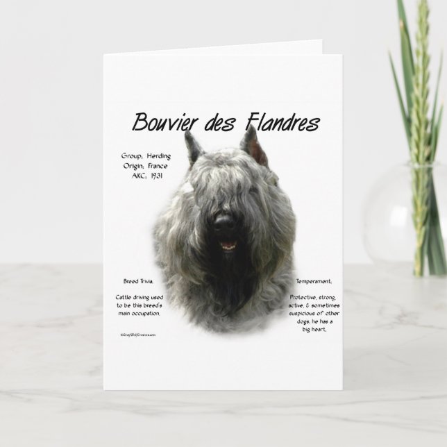 Bouvier des Flandres Geschichtsdesign Feiertagskarte (Vorderseite)