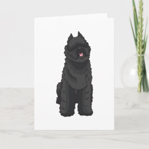Bouvier des Flandres Karte