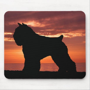 Bouvier DES Flandres Mousepad
