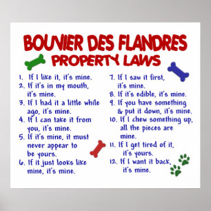 BOUVIER DES FLANDRES PL2 POSTER