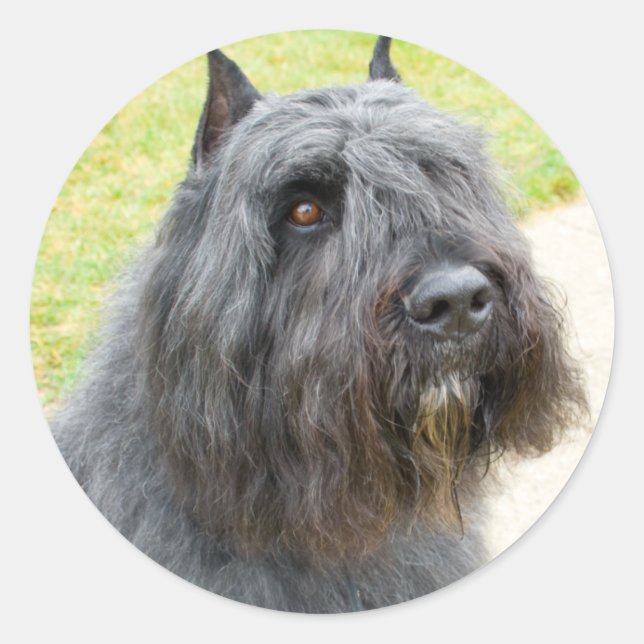 Bouvier des Flandres Runder Aufkleber (Vorderseite)