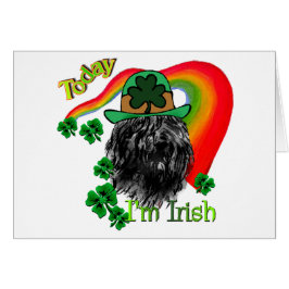 Bouvier des Flandres St Patricks