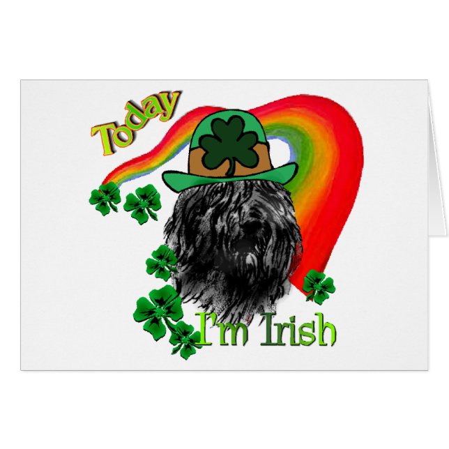 Bouvier des Flandres St Patricks (Vorderseite (Horizontal))