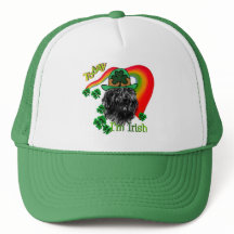 Bouvier des Flandres St Patricks