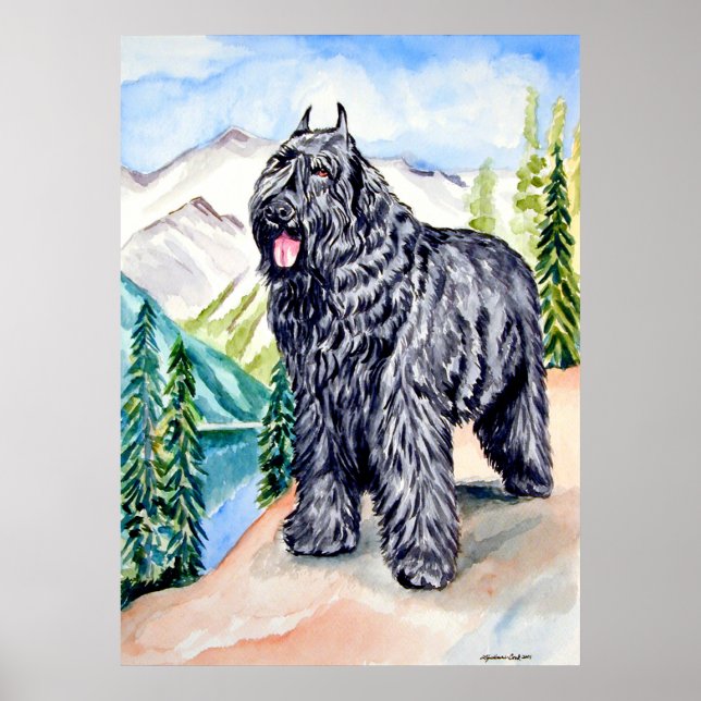 Bouvier des Flandres Wall Print Poster (Vorne)
