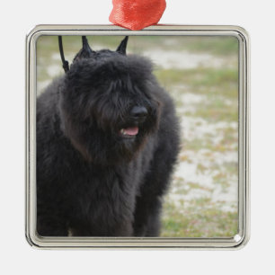 Bouviers DES Flandern Ornament Aus Metall