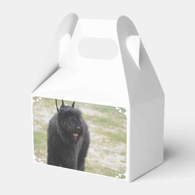 Bouviers des Flanders Geschenkschachtel (Vorderseite)