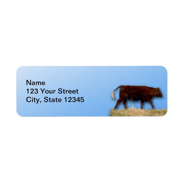 Bovine and Blue Sky: Kuh auf blauer Rücksendeadres (Vorne)