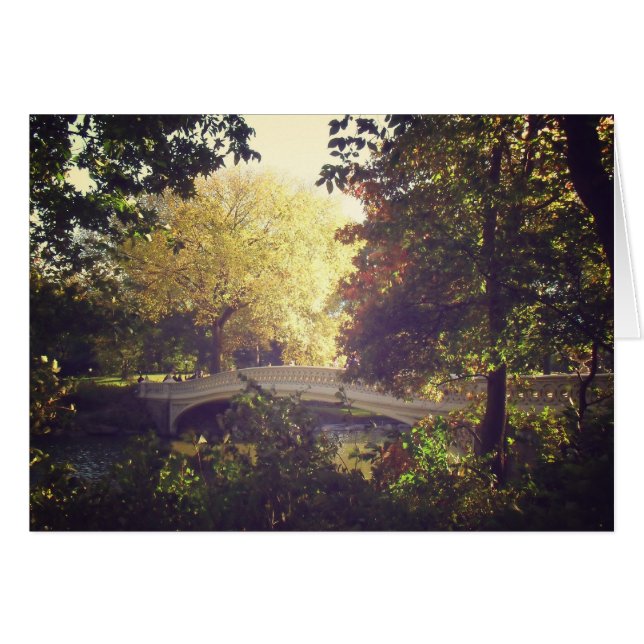 Bow Bridge Gerahmt von Bäumen, Central Park, NYC (Vorderseite (Horizontal))