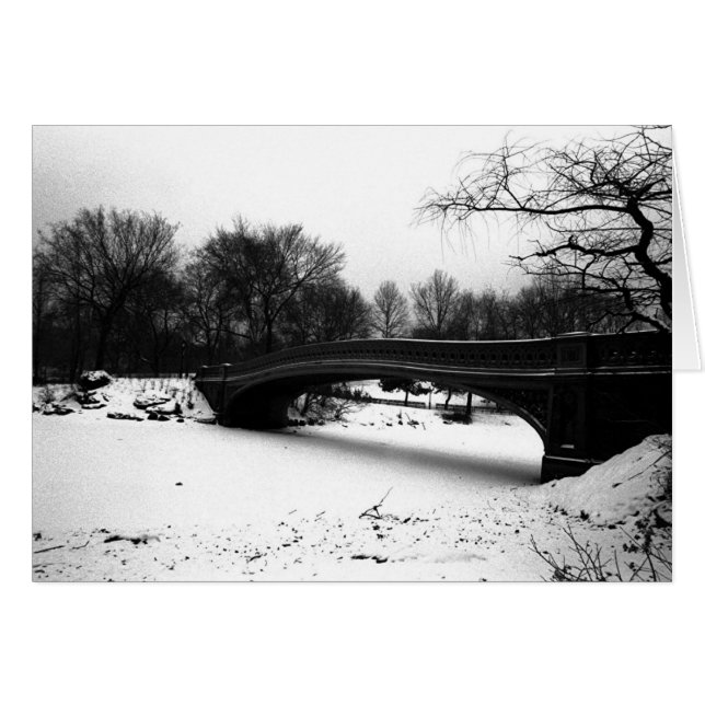 Bow Bridge Winter Central Park NYC (Vorderseite (Horizontal))
