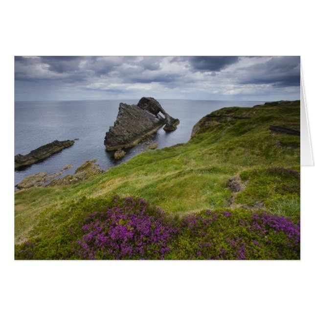 Bow Fiddle Rock, Portknockie, Schottland (Vorderseite (Horizontal))