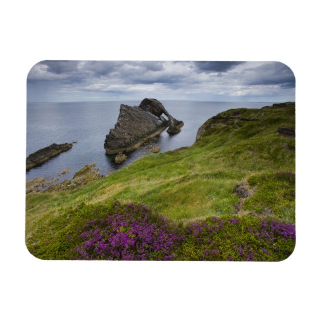 Bow Fiddle Rock, Portknockie, Schottland Magnet (Horizontal)