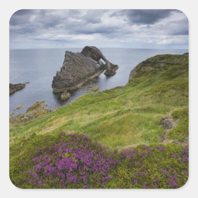 Bow Fiddle Rock, Portknockie, Schottland Quadratischer Aufkleber (Vorderseite)