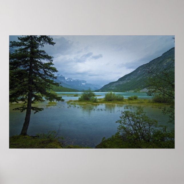 Bow Lake Morning Poster (Vorne)