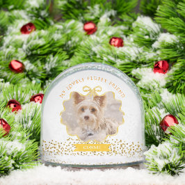 Bow Ribbon Glittering Pet Memory Foto Weiß Schneekugeln